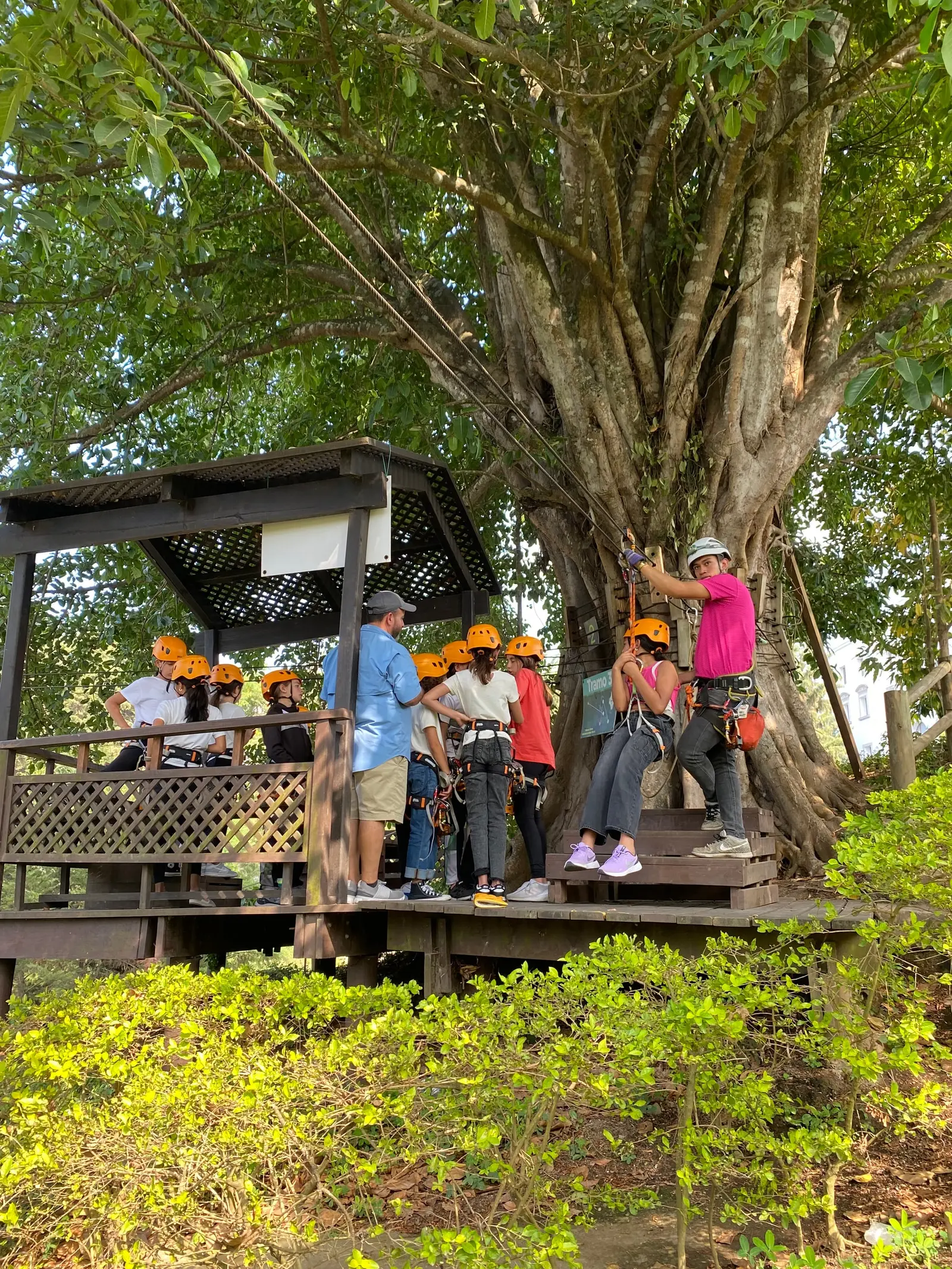 Estación de salida del canopy bajo un árbol gigante, con un grupo con cascos naranja esperando su turno
