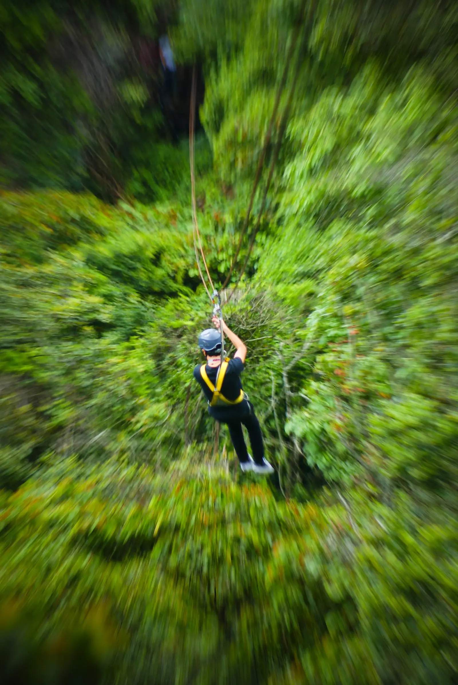 Persona volando a toda velocidad en el canopy entre los árboles